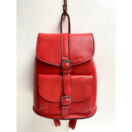 Red Small backpack